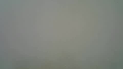 Black  brown online show from November 11, 5:29 am