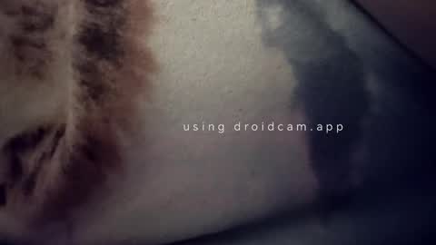 Snapshot of bluealpakka chatting on March 15, 4:40 am bluealpakka online show from March 15, 4:40 am