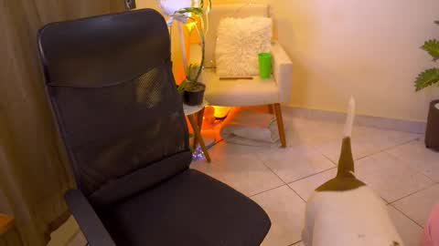 FLORAA online show from February 19, 1:18 pm