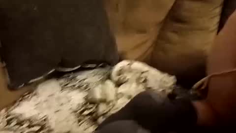 Snapshot of bnaa2m chatting on September 28, 1:49 pm Assdrtyasuwant online show from September 28, 1:49 pm