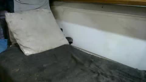 Snapshot of boatfun56 chatting on February 12, 11:00 pm boatfun56 online show from February 12, 11:00 pm