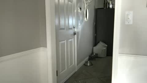 bobbylightfoot3 online show from February 7, 10:20 pm