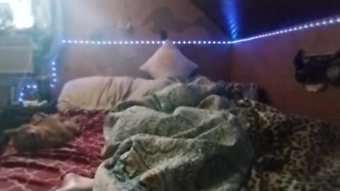 bobdeezzzzz online show from March 19, 5:17 pm