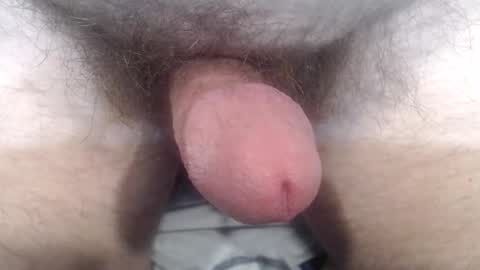 bobswan online show from October 24, 3:41 pm