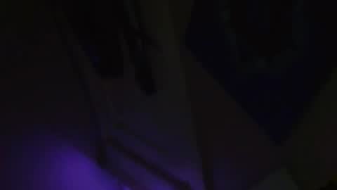 Snapshot of bodanglesmn chatting on November 19, 9:20 am Beau and joe step bros hanging out online show from November 19, 9:20 am