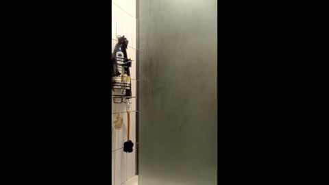 Sailorartemis online show from December 15, 9:57 am