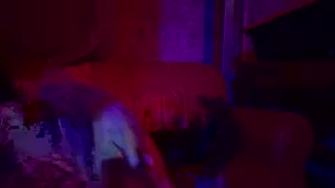 Snapshot of bodyyattiyatti chatting on April 26, 6:49 pm Sailorartemis online show from April 26, 6:49 pm