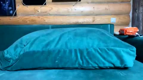 Snapshot of bohemianrhapsody1 chatting on November 14, 10:36 am Nail and Olivia online show from November 14, 10:36 am