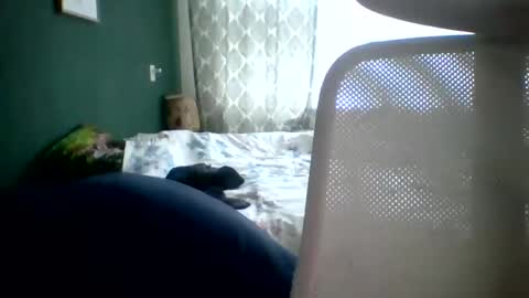 Snapshot of bomba8111 chatting on January 20, 11:45 am bomba8111 online show from January 20, 11:45 am