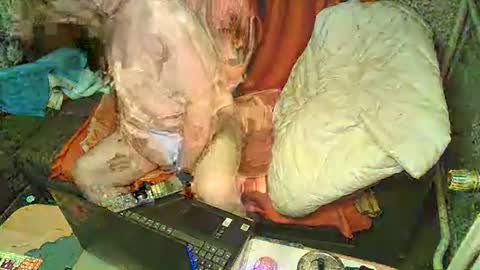 Bomber59potsdam online show from January 6, 9:32 pm