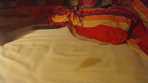 Bomm65 online show from December 13, 10:04 pm