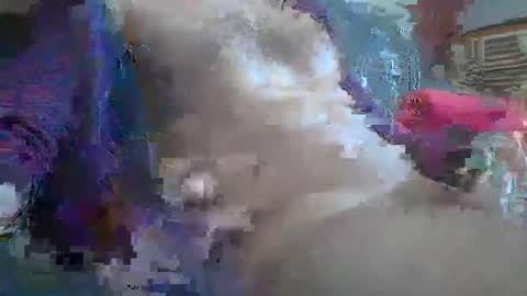 Snapshot of bonnieclyde90 chatting on October 12, 10:58 am bonnieclyde90 online show from October 12, 10:58 am