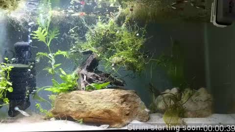 Booker Baxton online show from December 7, 4:09 am