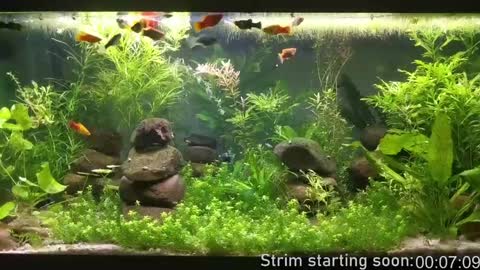 Booker Baxton online show from December 8, 4:04 am