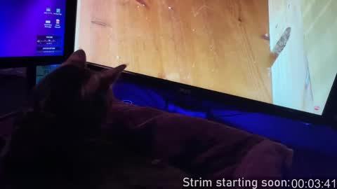 Booker Baxton online show from September 20, 3:07 am