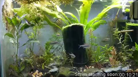 Booker Baxton online show from September 23, 2:58 am