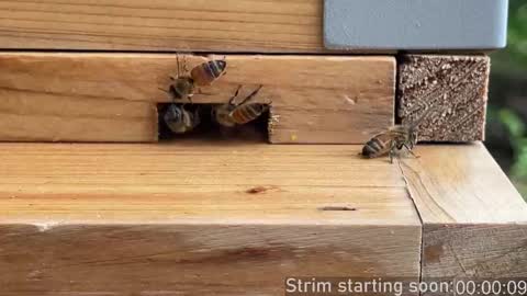 Booker Baxton online show from September 26, 3:10 am