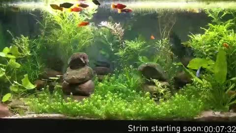 Booker Baxton online show from October 7, 3:04 am