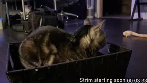 Booker Baxton online show from October 11, 3:06 am