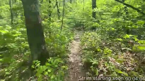 Booker Baxton online show from November 29, 4:04 am