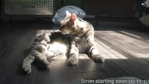 Booker Baxton online show from December 2, 3:56 am