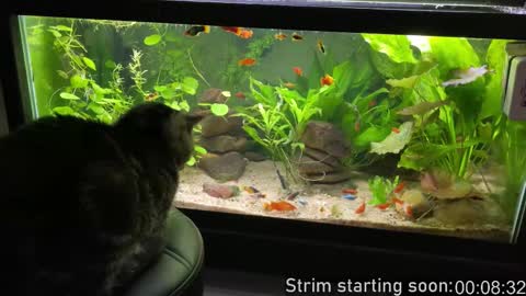 Booker Baxton online show from December 5, 3:59 am