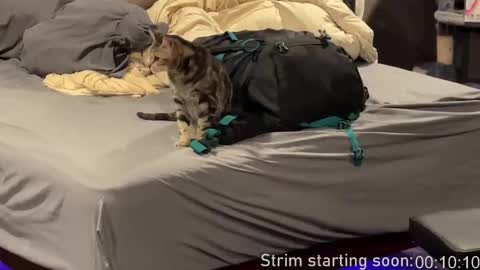 Booker Baxton online show from February 25, 4:00 am