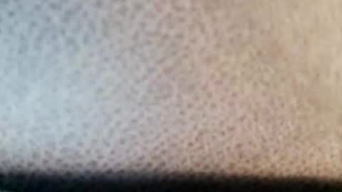 Boolika online show from March 11, 10:53 pm