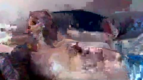 boomer64814390 online show from July 12, 7:32 am