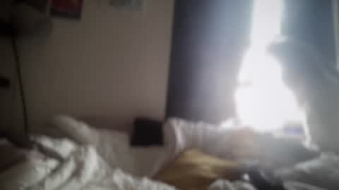 Snapshot of borkaa777 chatting on June 20, 10:07 am borkaa777 online show from June 20, 10:07 am