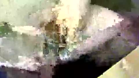 Snapshot of bossram160 chatting on September 17, 8:21 pm bossram160 online show from September 17, 8:21 pm