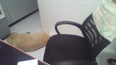 Snapshot of boy_fitbrutal chatting on December 2, 1:55 am boy_fitbrutal online show from December 2, 1:55 am