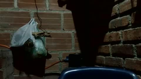 Boy online show from October 7, 2:53 am