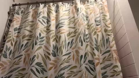 boysetsfire34 online show from March 13, 5:58 am