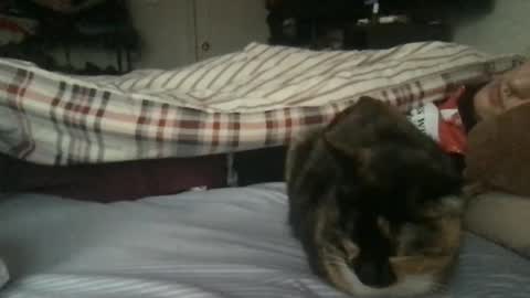 Snapshot of boywithbug chatting on February 13, 10:54 pm boywithbug online show from February 13, 10:54 pm