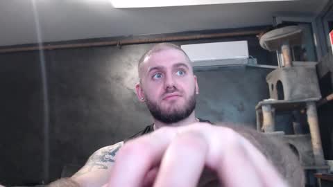 ask me online show from November 1, 7:38 pm