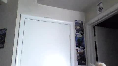 Snapshot of braindeadbetty chatting on June 15, 2:08 pm i am a naughty jedi knight online show from June 15, 2:08 pm
