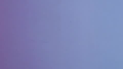 Brandy online show from December 20, 11:06 am