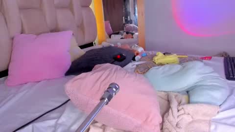 Branda online show from February 23, 2:35 pm