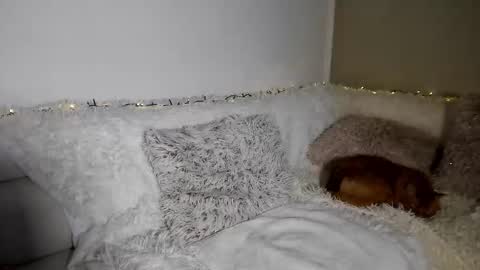 brianadiamondxxx online show from February 10, 11:58 am