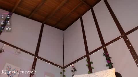 Snapshot of brie_cheese1 chatting on July 28, 4:39 pm Brie Ill be away November 2829 and 30. See u on Sunday for more fun online show from July 28, 4:39 pm