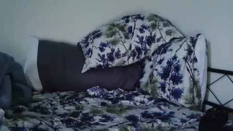 Bruc12168 fit slim new makemecum bigdick edging online show from February 20, 12:04 pm