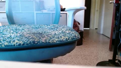 Snapshot of bruceb124u chatting on September 26, 4:00 pm bruceb124u online show from September 26, 4:00 pm