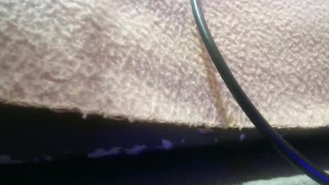 Snapshot of bubumaci53 chatting on November 30, 10:47 pm bubumaci53 online show from November 30, 10:47 pm