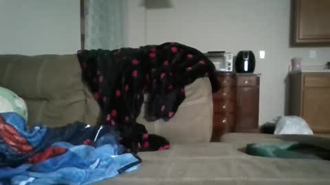 Snapshot of bud42o chatting on September 9, 4:56 am Bud42o online show from September 9, 4:56 am