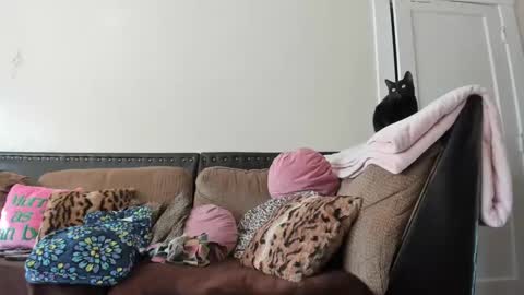 Buffy online show from December 2, 6:32 pm