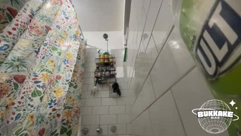 bukkakebae online show from September 11, 8:20 pm