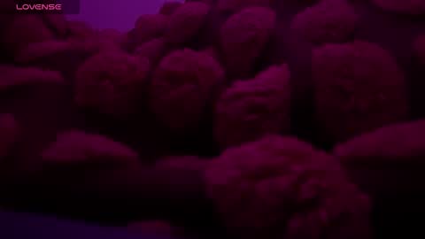 bukkakebae online show from November 15, 12:30 am