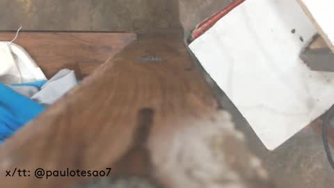 buldgeinboxer online show from February 17, 7:21 pm