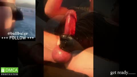 Snapshot of bullbulge chatting on May 19, 3:02 am Bull. online show from May 19, 3:02 am